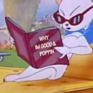 Meet your Posher, Chloe